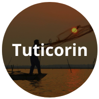 Tuticorin